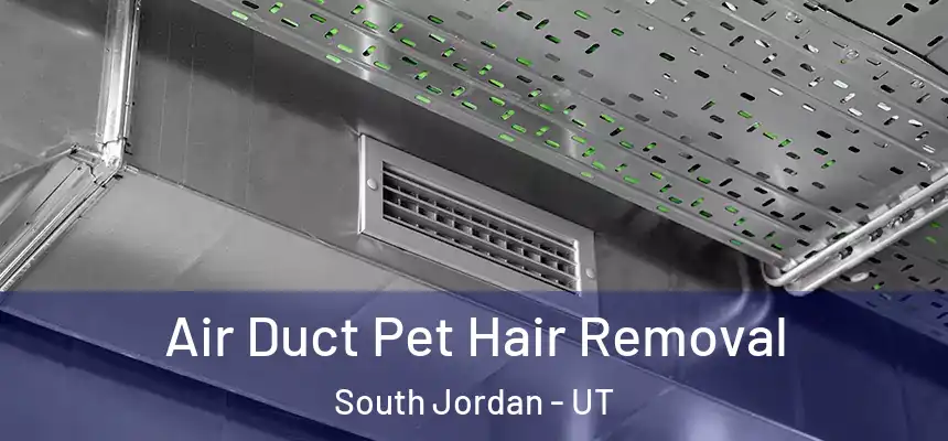 Air Duct Pet Hair Removal South Jordan - UT