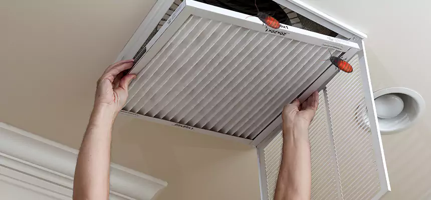 Preventive Cockroach-Proofing for Ducts in South Jordan