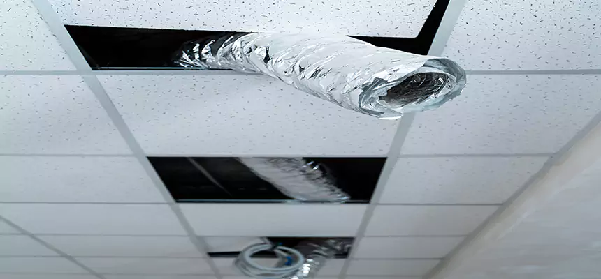 Our Air Duct Pet Hair Removal Services in South Jordan, UT