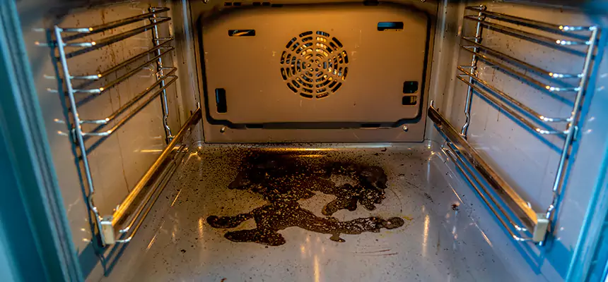 Our Dryer Vent Mold Cleaning Services in South Jordan, UT