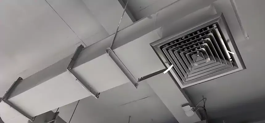 Our Pest Removal From Ducts Services in South Jordan, UT