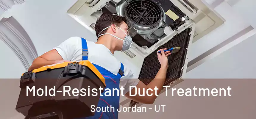  Mold-Resistant Duct Treatment South Jordan - UT