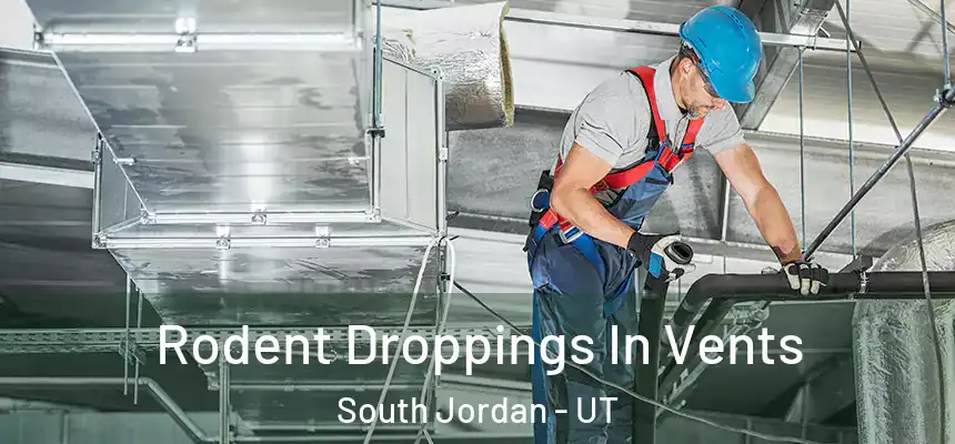 Rodent Droppings In Vents South Jordan - UT