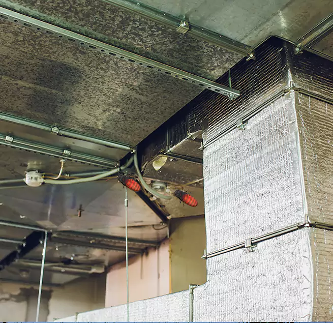 Why Homeowners & Businesses Trust Us in South Jordan, UT?