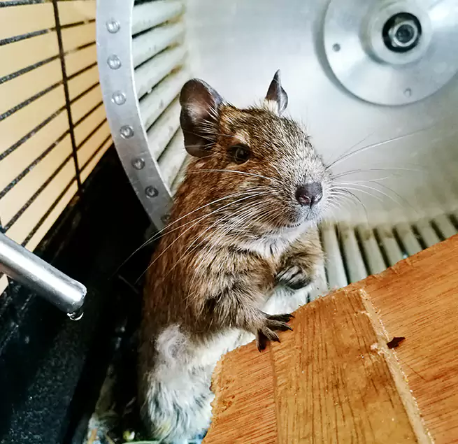 Why Homeowners & Businesses Trust Us South Jordan, UT